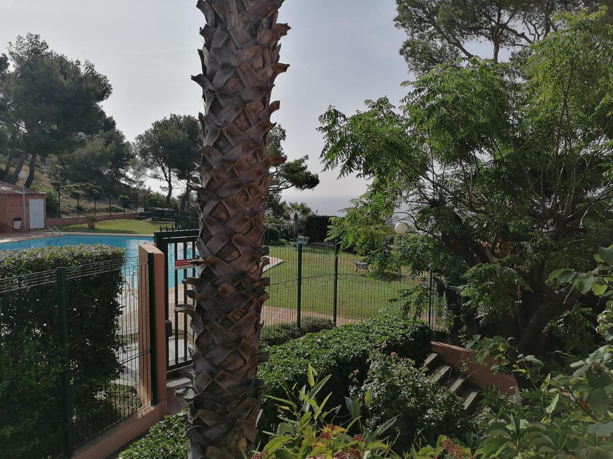 Apartment Pasalasa Saint-Mandrier-sur-Mer